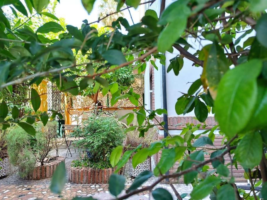 Casa Limonero Con Parking Gratis Junto A Centro Historico Villa Granada Exterior foto